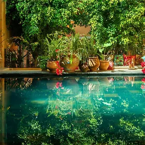 Roxanne Riad Marrakesh